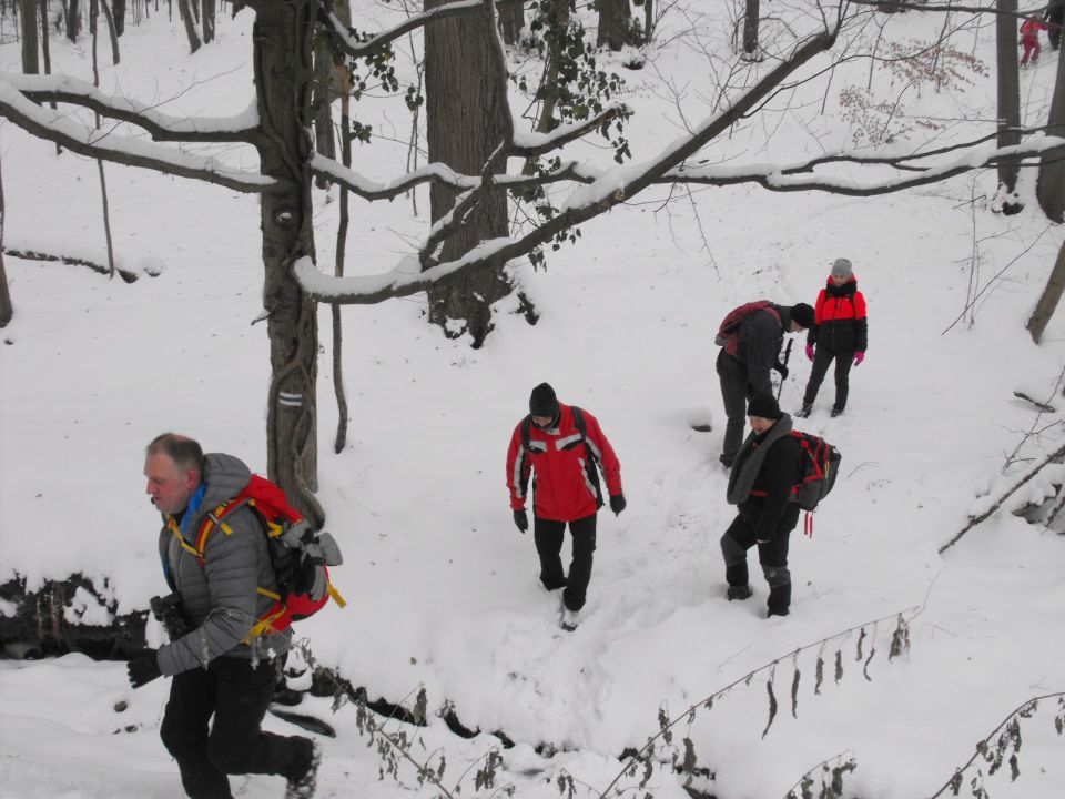 XXXVI Rajd Wzgórz Strzelińskich s002 - PTTK Strzelin