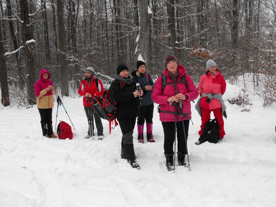 XXXVI Rajd Wzgórz Strzelińskich s002 - PTTK Strzelin