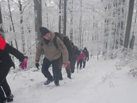 XXXVI Rajd Wzgórz Strzelińskich s70 - PTTK Strzelin