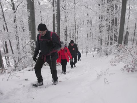 XXXVI Rajd Wzgórz Strzelińskich s71 - PTTK Strzelin