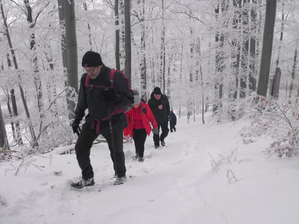 XXXVI Rajd Wzgórz Strzelińskich s002 - PTTK Strzelin