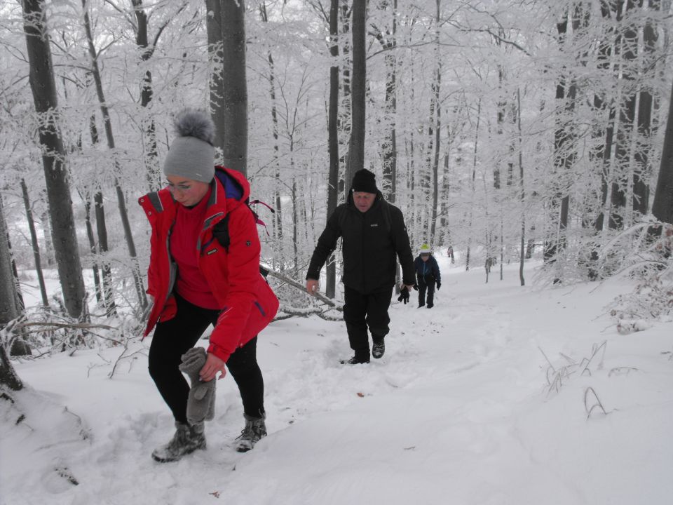XXXVI Rajd Wzgórz Strzelińskich s002 - PTTK Strzelin