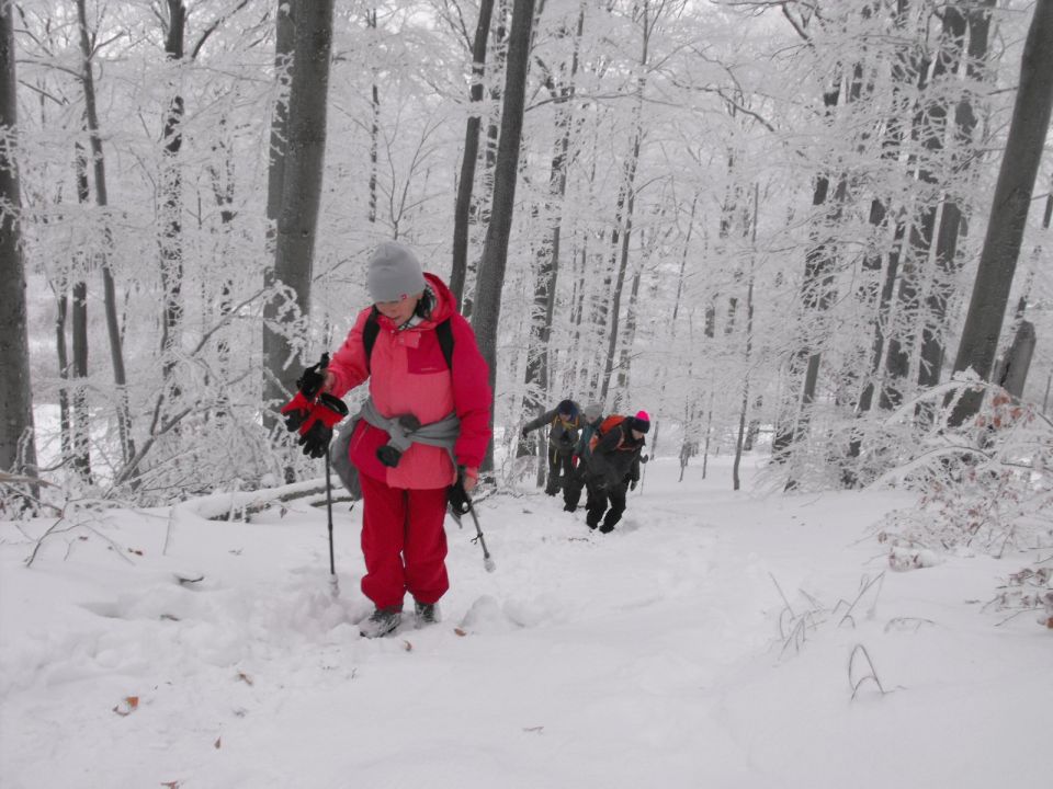 XXXVI Rajd Wzgórz Strzelińskich s002 - PTTK Strzelin