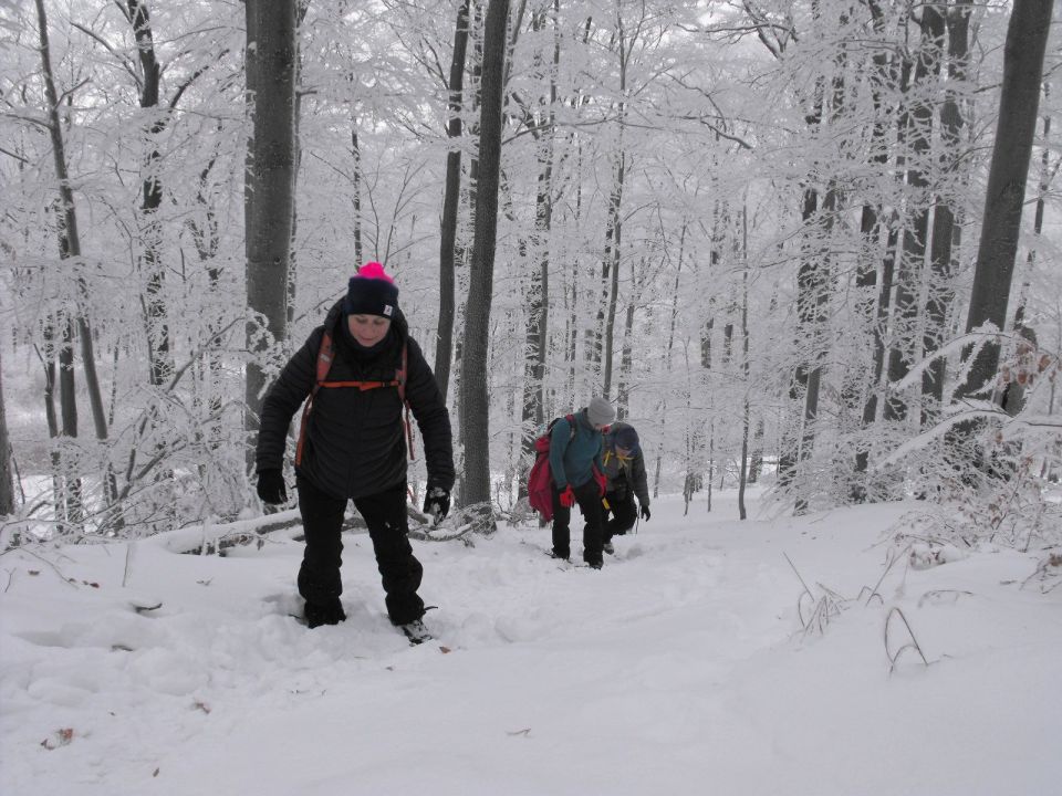 XXXVI Rajd Wzgórz Strzelińskich s002 - PTTK Strzelin