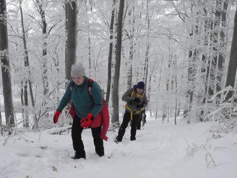 XXXVI Rajd Wzgórz Strzelińskich s76 - PTTK Strzelin
