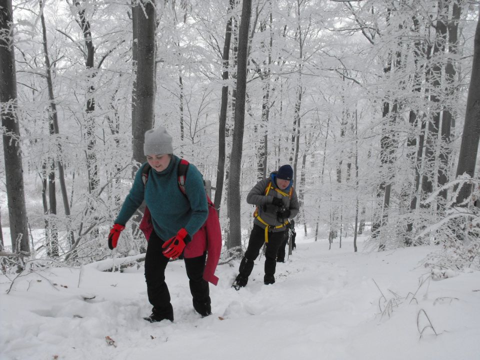 XXXVI Rajd Wzgórz Strzelińskich s002 - PTTK Strzelin