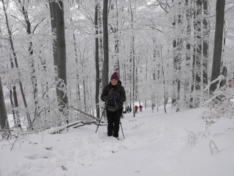 XXXVI Rajd Wzgórz Strzelińskich s77 - PTTK Strzelin