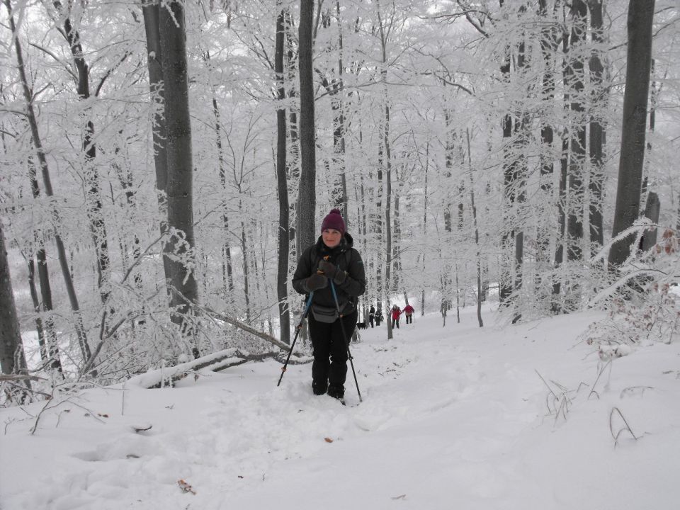 XXXVI Rajd Wzgórz Strzelińskich s002 - PTTK Strzelin