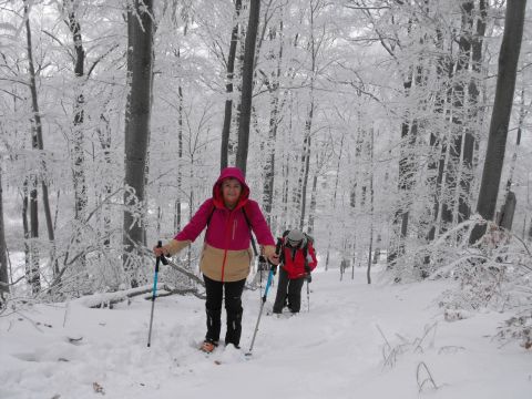 XXXVI Rajd Wzgórz Strzelińskich s78 - PTTK Strzelin