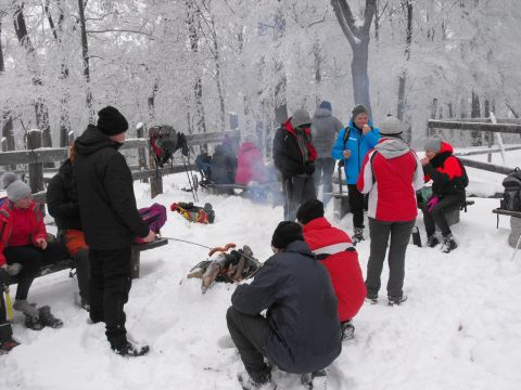 XXXVI Rajd Wzgórz Strzelińskich s86 - PTTK Strzelin