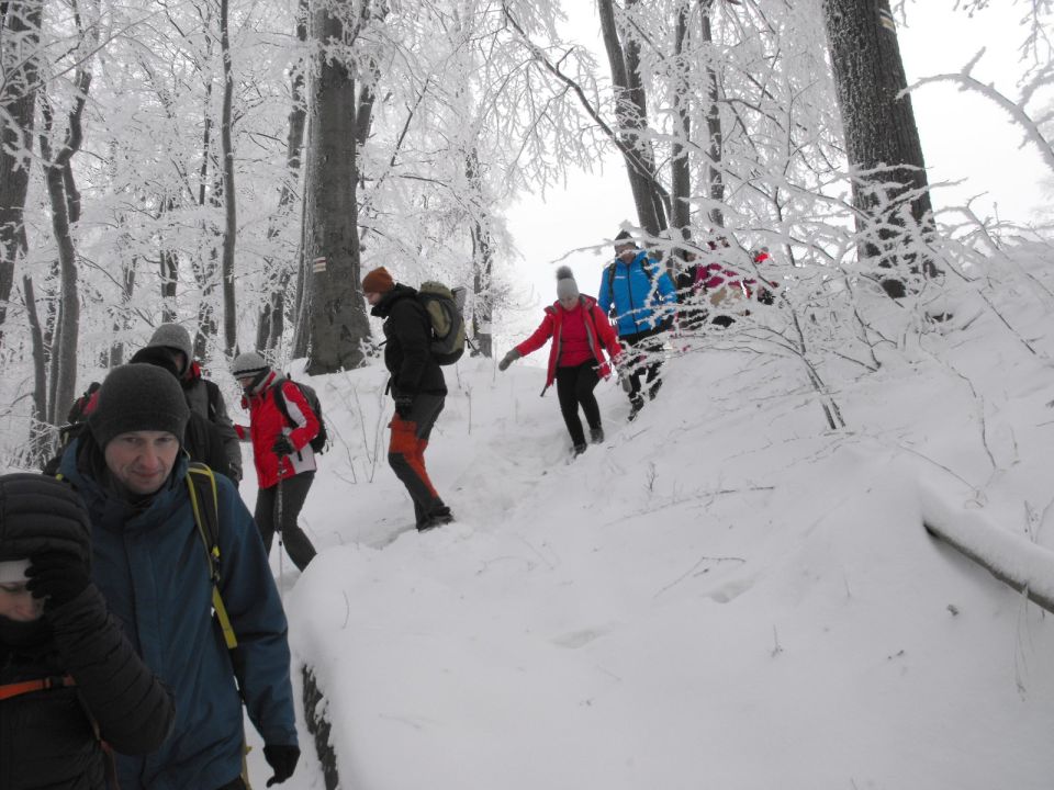 XXXVI Rajd Wzgórz Strzelińskich s002 - PTTK Strzelin