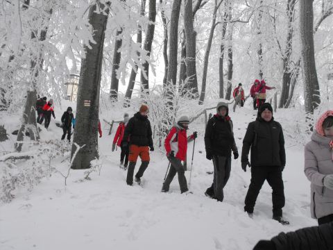 XXXVI Rajd Wzgórz Strzelińskich s95 - PTTK Strzelin