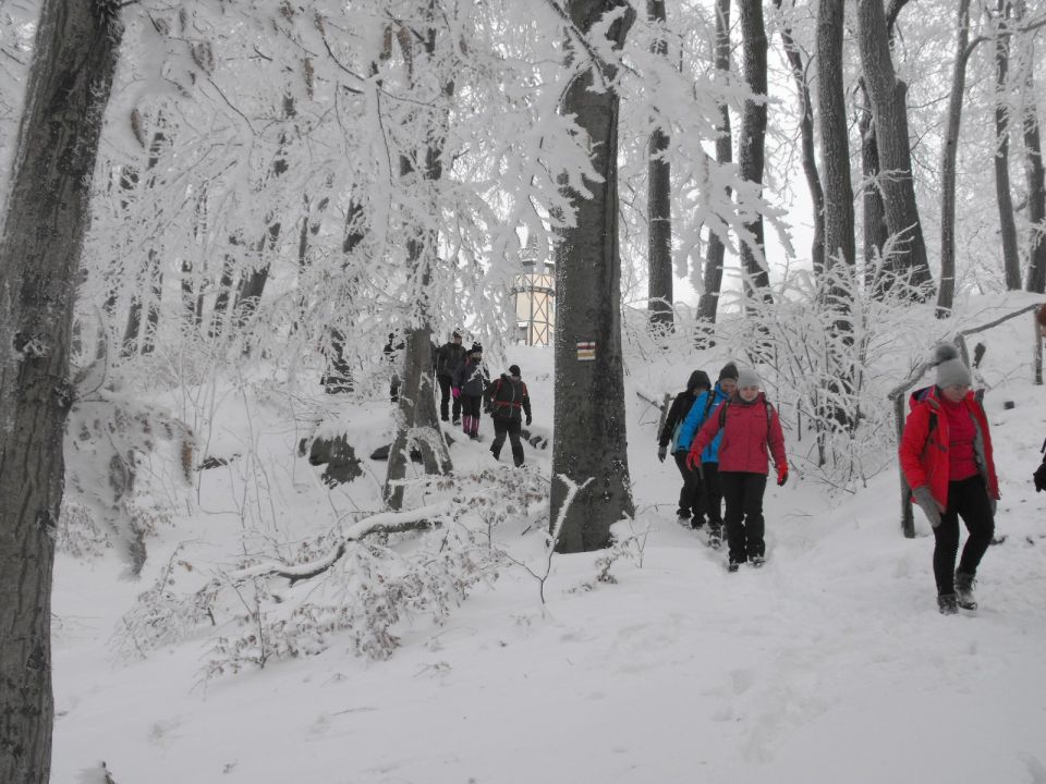 XXXVI Rajd Wzgórz Strzelińskich s002 - PTTK Strzelin