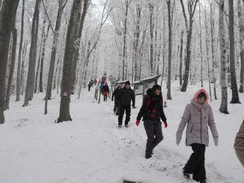 XXXVI Rajd Wzgórz Strzelińskich s98 - PTTK Strzelin