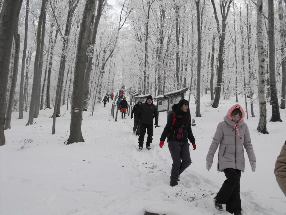 XXXVI Rajd Wzgórz Strzelińskich s002 - PTTK Strzelin