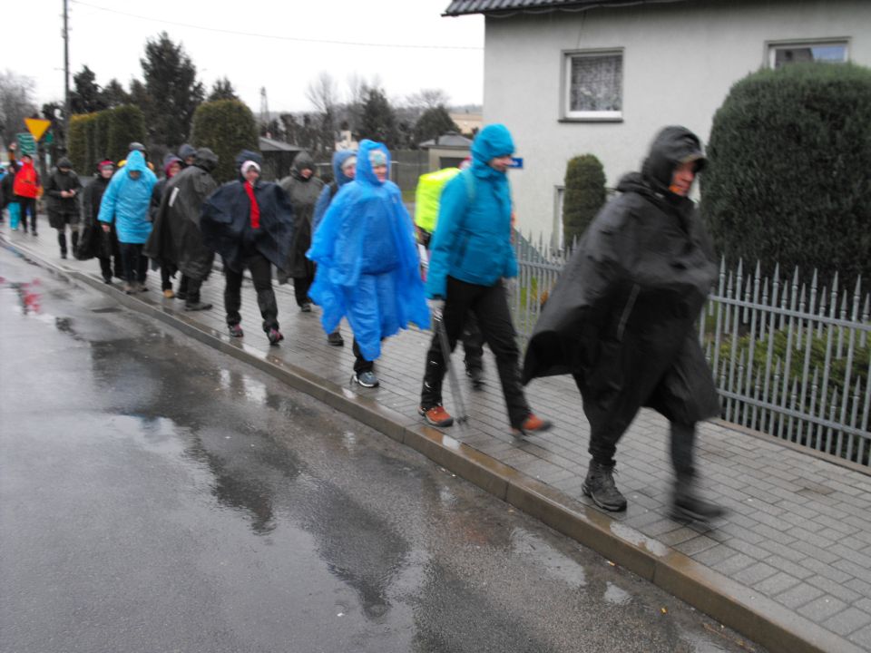 XXXVII Rajd Wzgórz Strzelińskich s002 - PTTK Strzelin