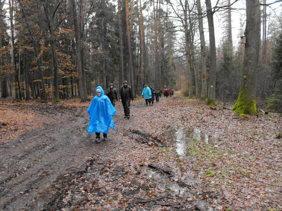 XXXVII Rajd Wzgórz Strzelińskich s002 - PTTK Strzelin