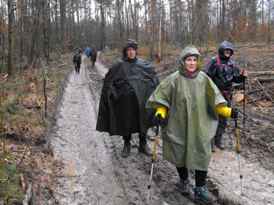 XXXVII Rajd Wzgórz Strzelińskich s002 - PTTK Strzelin
