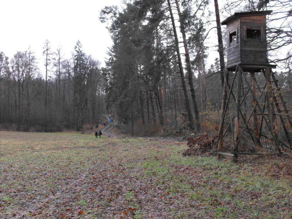 XXXVII Rajd Wzgórz Strzelińskich s002 - PTTK Strzelin