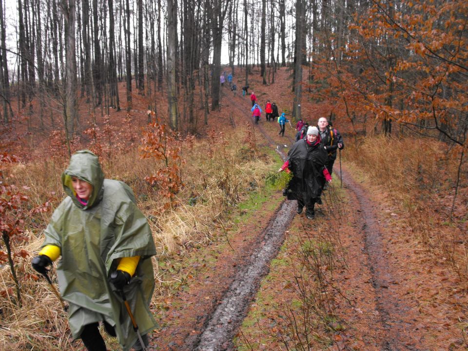 XXXVII Rajd Wzgórz Strzelińskich s002 - PTTK Strzelin