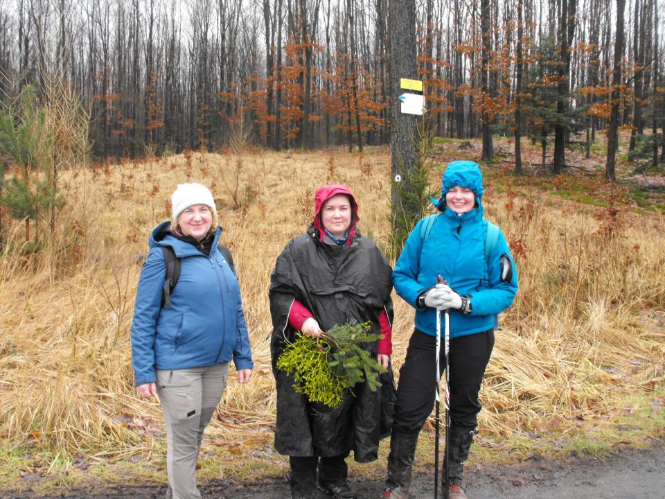 XXXVII Rajd Wzgórz Strzelińskich s002 - PTTK Strzelin