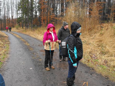 XXXVII Rajd Wzgórz Strzelińskich s28 - PTTK Strzelin