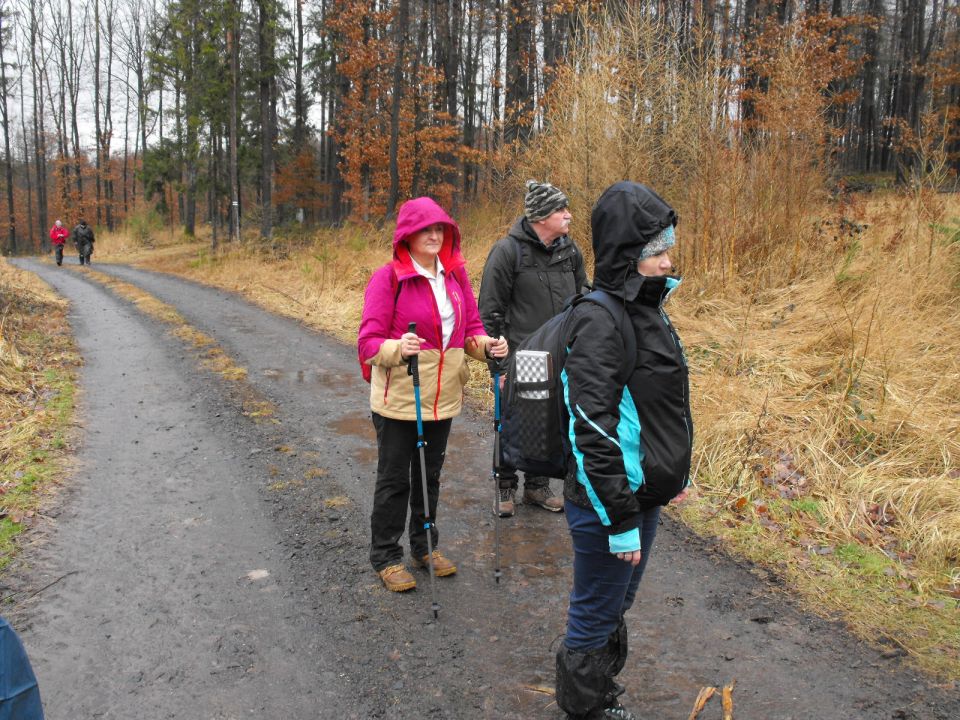 XXXVII Rajd Wzgórz Strzelińskich s002 - PTTK Strzelin