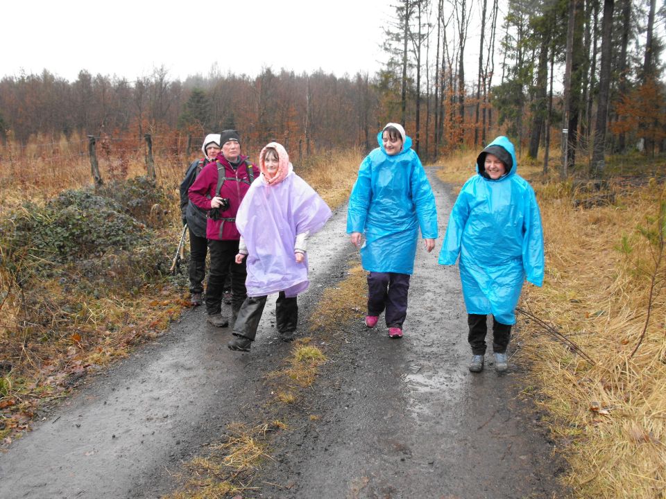 XXXVII Rajd Wzgórz Strzelińskich s002 - PTTK Strzelin