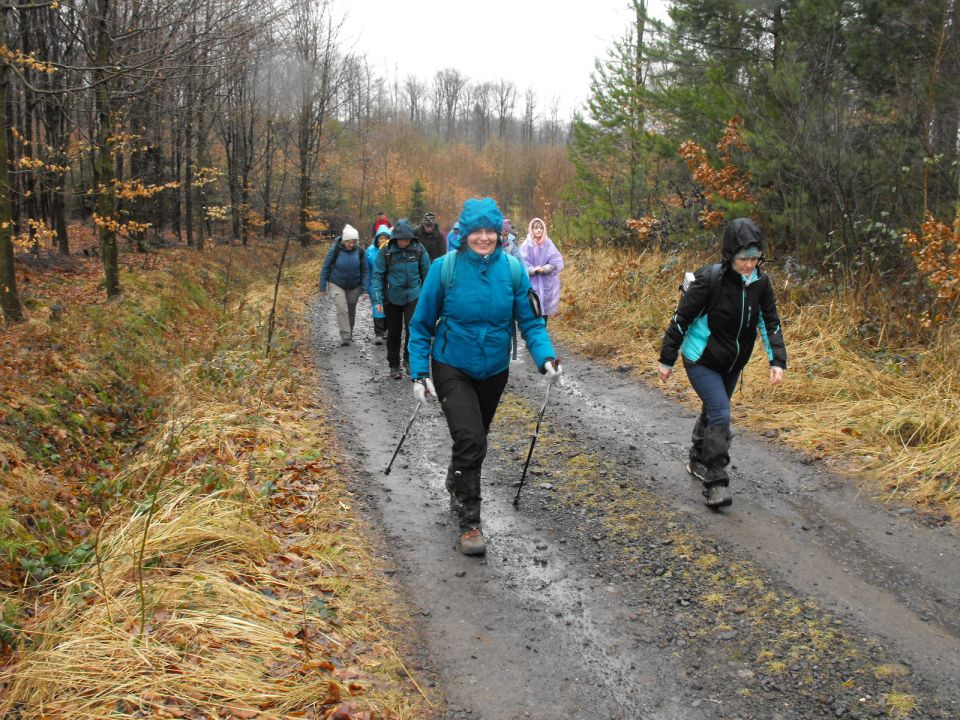 XXXVII Rajd Wzgórz Strzelińskich s002 - PTTK Strzelin