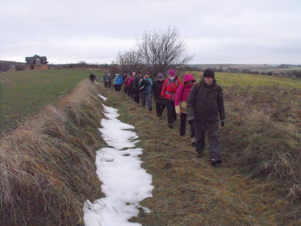 38. Rajd Wzgórz Strzelińskich s002 - PTTK Strzelin