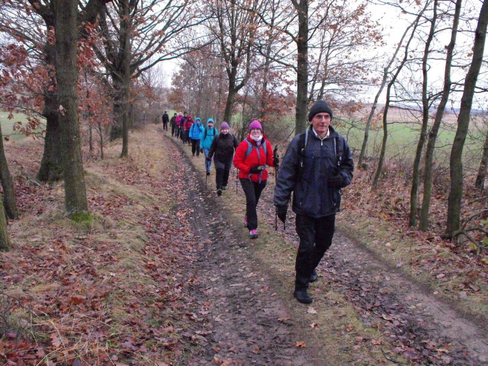 38. Rajd Wzgórz Strzelińskich s002 - PTTK Strzelin