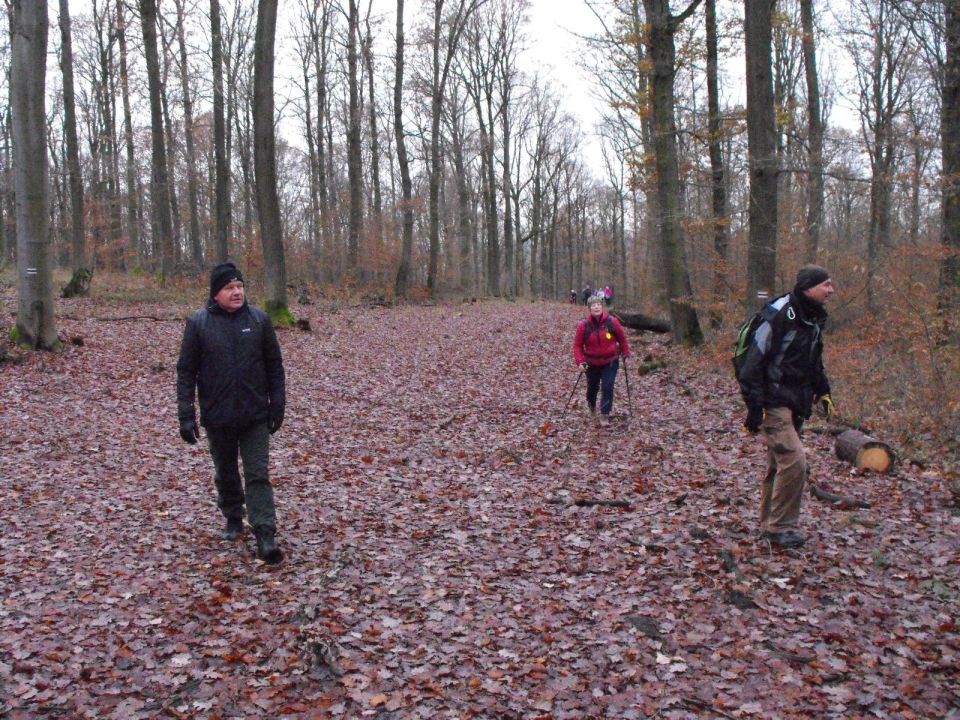 38. Rajd Wzgórz Strzelińskich s002 - PTTK Strzelin