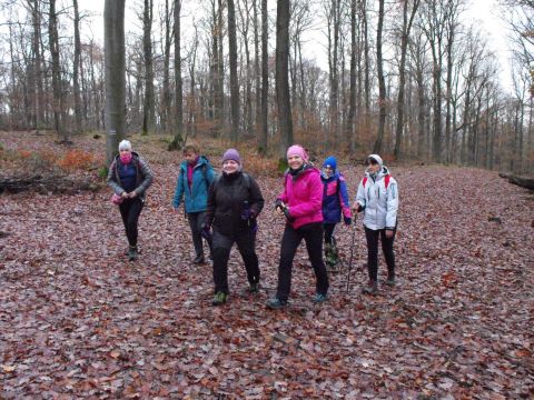 38. Rajd Wzgórz Strzelińskich s13 - PTTK Strzelin