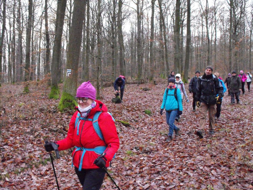 38. Rajd Wzgórz Strzelińskich s002 - PTTK Strzelin