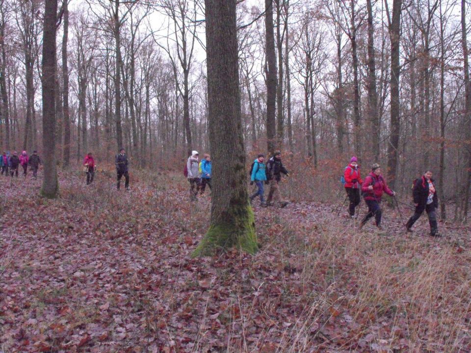 38. Rajd Wzgórz Strzelińskich s002 - PTTK Strzelin