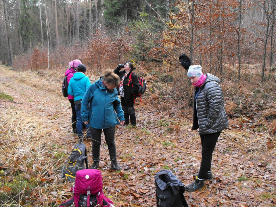 38. Rajd Wzgórz Strzelińskich s002 - PTTK Strzelin