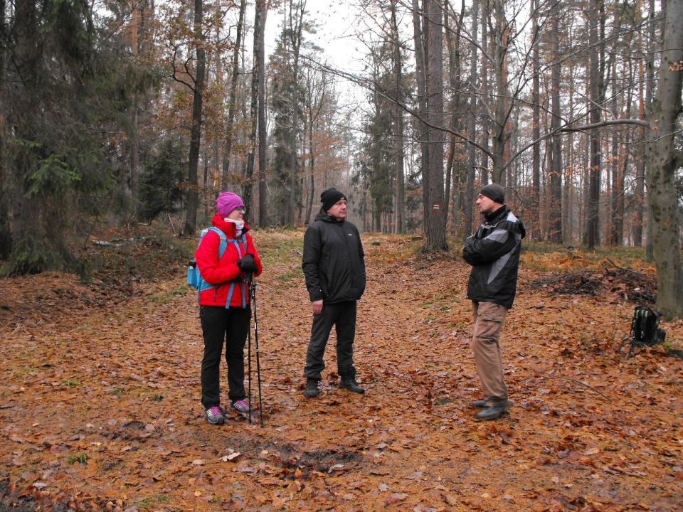 38. Rajd Wzgórz Strzelińskich s002 - PTTK Strzelin