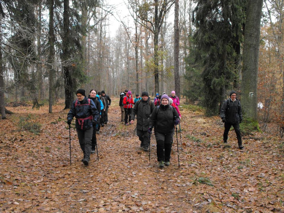 38. Rajd Wzgórz Strzelińskich s002 - PTTK Strzelin