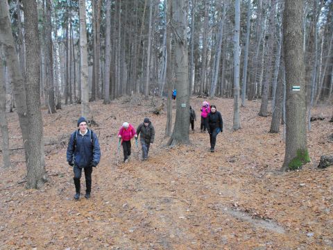38. Rajd Wzgórz Strzelińskich s24 - PTTK Strzelin