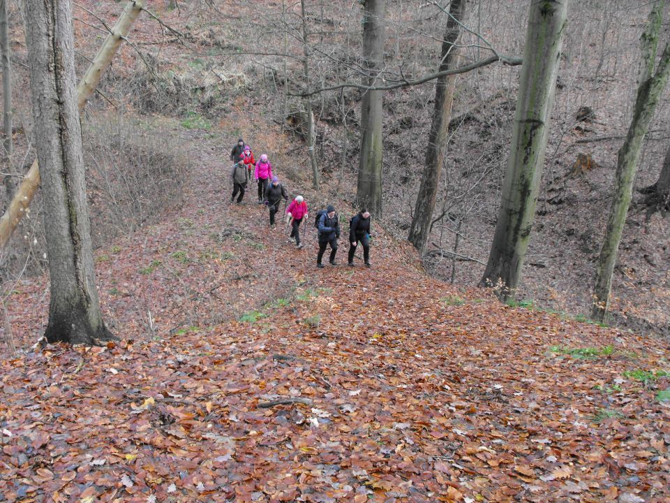 38. Rajd Wzgórz Strzelińskich s002 - PTTK Strzelin