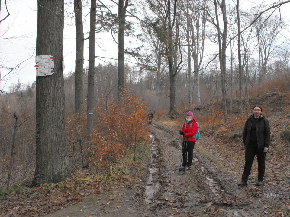 38. Rajd Wzgórz Strzelińskich s002 - PTTK Strzelin