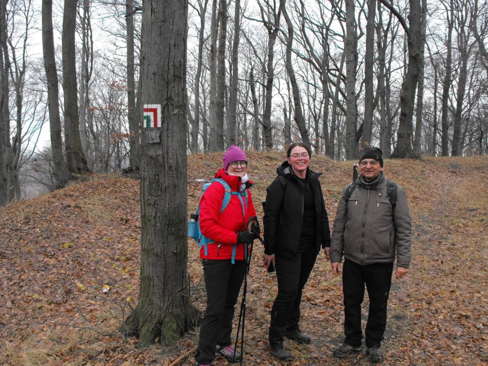 38. Rajd Wzgórz Strzelińskich s002 - PTTK Strzelin