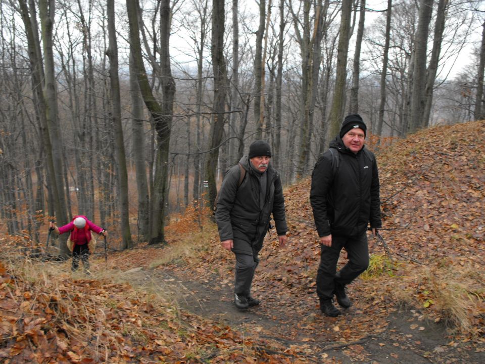 38. Rajd Wzgórz Strzelińskich s002 - PTTK Strzelin