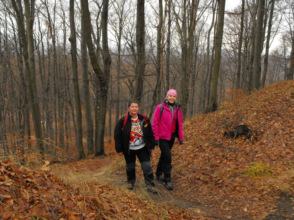 38. Rajd Wzgórz Strzelińskich s002 - PTTK Strzelin