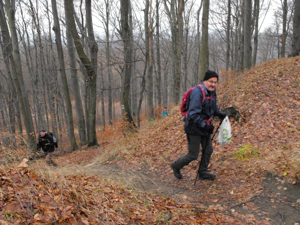 38. Rajd Wzgórz Strzelińskich s002 - PTTK Strzelin