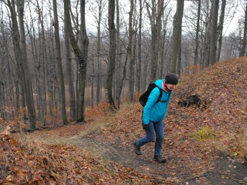 38. Rajd Wzgórz Strzelińskich s33 - PTTK Strzelin