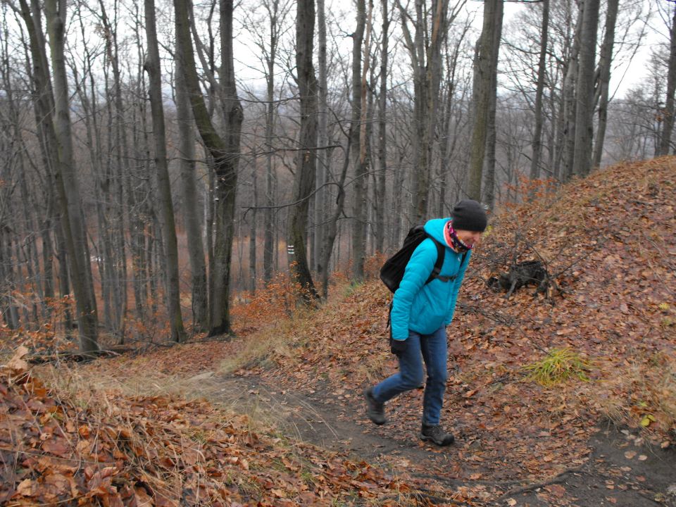 38. Rajd Wzgórz Strzelińskich s002 - PTTK Strzelin