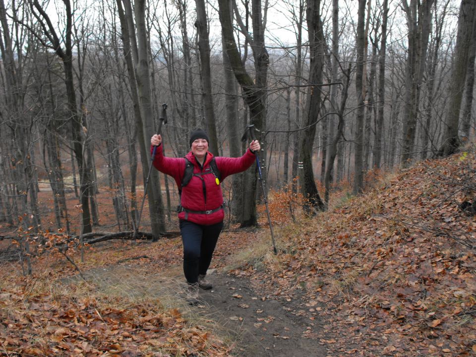 38. Rajd Wzgórz Strzelińskich s002 - PTTK Strzelin