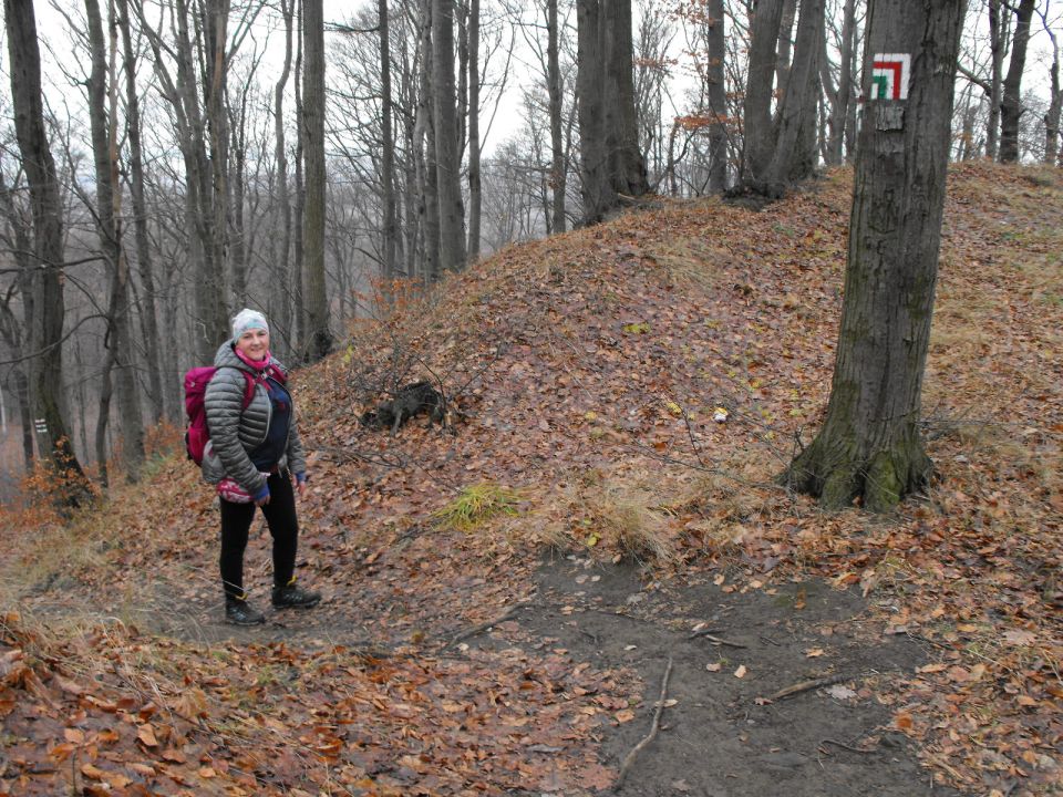 38. Rajd Wzgórz Strzelińskich s002 - PTTK Strzelin