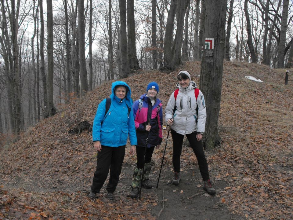 38. Rajd Wzgórz Strzelińskich s002 - PTTK Strzelin